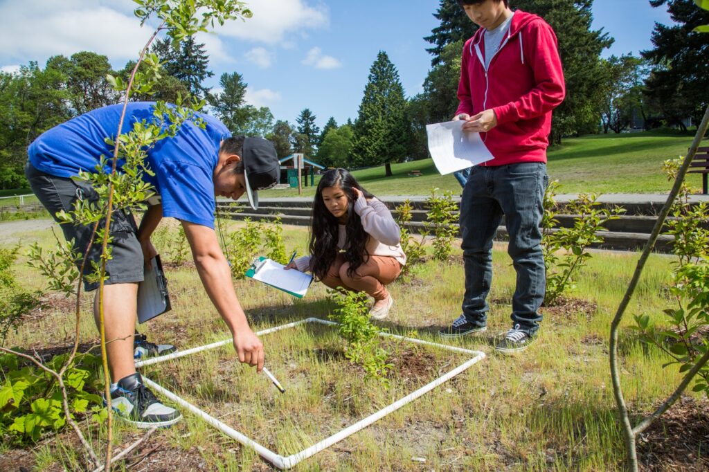 Young adult students inspecting a small plot of land